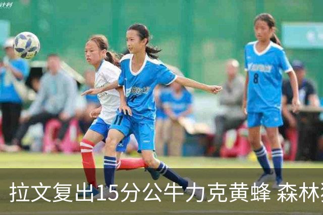 拉文复出15分公牛力克黄蜂 森林狼大胜火箭